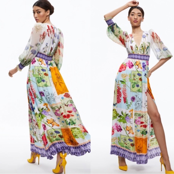 Alice + Olivia Dresses & Skirts - Alice + Olivia Bellami V-Neck Maxi Dress